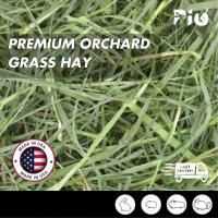 ราคา [24HR SHIP] PREMIUM ORCHARD GRASS HAY นําเข้า Timothy Alfalfa Lucerne Hay กระต่าย Guinea Pig Chinchilla Food 猫 (41720674909)