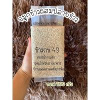 ราคา จมูกข้าวกล้อง ปลายข้าวกล้อง กข43 (4767956784)