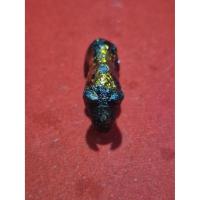 ราคา วัวธนูอคม 64 อาจารย์ประสูติ (28575613564)