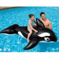 ราคา แพปลาโลมาแฟนซีปลาโลมาห่วงยางลอยนํ้า (28559457691)