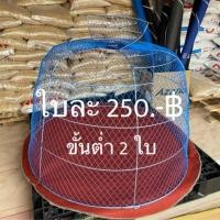 ราคา ลดเพิ่ม 150.- ใส่โค้ด JULYBOW1 สุ่มไก่ เปิดบน พับไม่ได้ (5138129652)