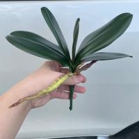 ราคา พร้อมส่ง ใบกล้วยไม้ประดิษฐ์รุ่นใหม่ เหมือนจริง เกรดA ใบกล้วยไม้ปลอม ใบไม้ประดิษฐ์ ใบฟาแลนปลอม (7479884106)
