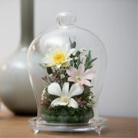 ราคา YHN-404-2101 ดอกไม้สดอบในโหลแก้วแบบสไตล์ญี่ปุ่น อยู่ได้นานกว่า5-7ปี (8957352003)