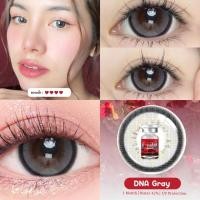 ราคา คอนแทคเลนส์ Dna✨ขนาดบิ๊กอาย✨ Gray/ Brown (Lovelylens) (43371595977)