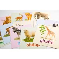 ราคา แฟลชการ์ดใบใหญ่ Big Card : การ์ดคำศัพท์ animal หนูชอบสัตว์น่ารัก บัตรคำ (21082064024)