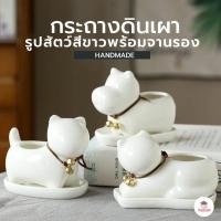 ราคา กระถางดินเผา รูปสัตว์สีขาวพร้อมจานรอง กระถางต้นไม้ ไม้อวบน้ำ กุหลาบหิน cactus&succulentหลากหลายสายพันธุ์ (25583628124)