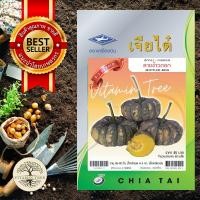 ราคา เมล็ดพันธุ์ ฟักทอง ลายข้าวตอกใหม่ (4651414602)