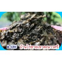 ราคา ยอดอ่อน/ใบอ่อน ขี้เหล็กต้มตากแห้ง พร้อมทาน (13714716410)