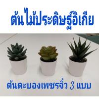 ราคา ต้นไม้ปลอมอิเกีย อีเกีย ikea ต้นตะบองเพชร (24572428735)