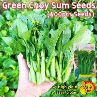 ราคา 600เมล็ด เมล็ดพันธุ์ ผักกวางตุ้ง Sweet Green Choy Sum Seeds Vegetable Seeds ผักซอง สามเอ กวางตุ้งดอก ฮ่องกง Plants (27080349285)