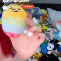 ราคา ไข่ขี้เกียจจจจจจจขจข (2815689232)