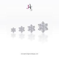 ราคา Piercingroom by Jay จิว/ต่างหูสำหรับผิวแพ้ง่าย CZ Flower แป้นแบน เงินแท้ (ราคาต่อชิ้น) (22130626269)