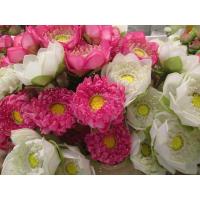 ราคา ดอกบัวบานงานประดิษฐ์จากผ้าไหมขนาดดอก4นิ้ว (9243889741)