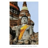 ราคา Postcard โปสการ์ดไทย ภาพพระ วัดใหญ่ชัยมงคล จ.อยุธยา (4x6 นิ้ว) (21292549588)