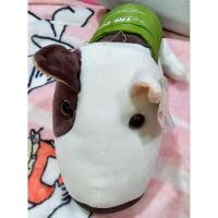 ราคา ตุ๊กตามือ✌️ ลิขสิทธิ์แท้ ตุ๊กตา หมา THE DOG ใส่เสื้อเขียว งานป้ายห้อย ขนาด 11" สภาพ 99% (18687409338)