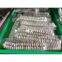 ราคา สร้อยคอเปลือกหอยเบี้ย (18580528858)