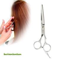 ราคา กรรไกรตัดผม Smith Chu 6.5นิ้ว กรรไกรตัด แบบอย่างดี ราคาพิเศษ ลับคมให้พร้อม (อยู่ไทยพร้อมส่ง) กรรไกรตัดผมชาย (19831230873)