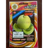 ราคา เมล็ด 10 แถม 1 เมล็ดแคนตาลูป กลิ่นหอมแอปเปิ้ล เมล็ดพันธุ์ผัก (16369220997)