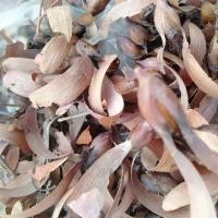 ราคา เมล็ดพยอม เมล็ดพันธุ์ไม้ป่า อัตรางอกสูง (7630576357)