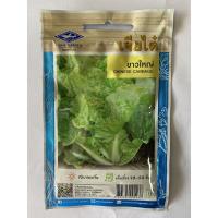 ราคา ขาวใหญ่ เจียไต๋ เมล็ดพันธ์ุผักกาดขาว ชื่อพันธุ์ขาวใหญ่ เมล็ดพันธ์ุคุณภาพตราเจียไต๋ บรรจุซองฟรอยคุมคุณภาพอย่างดี (6631980298)