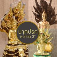 ราคา พระนาคปรก หน้าตัก 3" สูง 8" เนื้อทองเหลือง ปิดทองคำเปลวแท้ งานละเอียด พิมพ์สวย พิมพ์พิเศษ ประณีตมาก ควรค่าแก่การบูชา (26551566750)