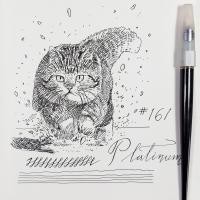 ราคา #161 ปากกาหมึกซึม Platinum : Platinum Fountain Pen (10695673257)
