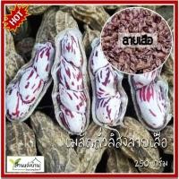 ราคา 50 เมล็ด เมล็ดพันธุ์ถั่วลิสงลายเสือ ถั่วลายเสือ ถั่วราชินี (5865391721)