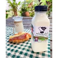 ราคา เด็กขายนม นมโคพาสเจอไรซ์ รสธรรมชาติ (จืด) 10 ขวด รวมส่ง (13211545814)