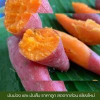 ราคา มันส้มหวาน 3 กิโลกรัม พื้นเมือง มันส้มสดจากไร่ มันส้มมันหวานปลูกในไทยเกษตรอินทรีย์ ราคาดี ราคาถูก (28254421794)