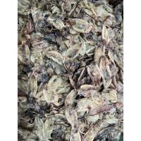 ราคา หมึกเล็ก ปลาหมึกแห้งตัวเล็กจืดสะอาดอร่อย หมึกเล็กจืด แพ็คขนาด500กรัม (20009168315)