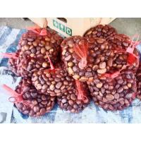 ราคา เมล็ดสละอินโด สายน้ำผึ้งแท้ปริมาณ 500 กรัม (19532037404)