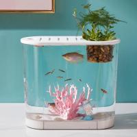 ราคา ตู้ปลาพลาสติกใส ตู้ปลา ตู้เลี้ยงปลา อ่างปลา อ่างเลี้ยงปลา ตู้ปลาขนาดเล็ก อ่างปลาพลาสติก (29842418627)