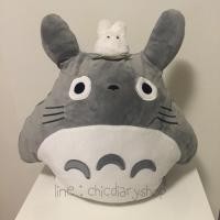 ราคา หมอนผ้าห่ม โตโตโร่ (67992138)