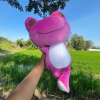 ราคา ตุ๊กตากบ Pickles the Frog สัตว์ของเล่น ตุ๊กตากบ Fitzroy Tree Frog Plush (23019711880)