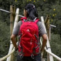 ราคา Consina gocta 30L Daypack / กระเป๋าเป้ / กระเป๋าเป้ (9528171818)