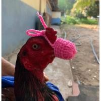 ราคา สวมปากไหมพรมหนาไก่ชน ชุด 3 คู่ ราคาต่อ 3 คู่ คละไซต์ คละสี #ไก่ชนทอง #ของแท้100% #ใช้ในฟาร์มเท่านั้น (25963129489)