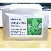 ราคา ผักคะน้าเคลไซบีเรียน - Siberian Kale (3532271261)