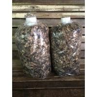 ราคา เชื้อเห็ดฟาง เชื้อเดินไว แข็งแรง สำหรับเพาะในตระกร้า สำหรับคนมีพื้นที่น้อย มีคู่มือพร้อมอาหารเห็ดให้ (6819270629)