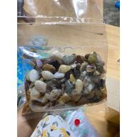 ราคา หอยเสียบดองน้ำปลาตัวโต (23260434752)