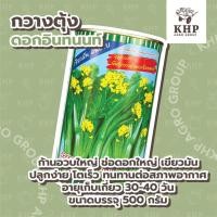 ราคา เมล็ดพันธุ์ กวางตุ้งดอกอินทนนท์ บรรจุ 500 กรัม ผักกาด กวางตุ้ง กวางตุ้งดอกฮ่องกง เขียวมัน โตไว ต้นอวบ (กระป๋อง 1 ลิตร) (16800217974)