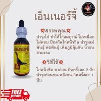 ราคา เอ็นเนอร์จี้ วิตามินบำรุงไก่ชน ของแท้ 100% พร้อมส่ง (28255400385)