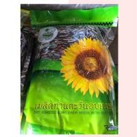 ราคา เมล็ดทานตะวัน ตรานางงามดีดพิณ 500g (2322314244)