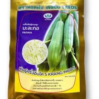 ราคา เมล็ด มะละกอ ครั่ง ส้มตำ (ประมาณ 30 เมล็ด) (506263636)