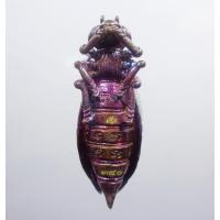 ราคา พระแท้ ทั้งร้าน พญาต่อเงินต่อทอง หลวงปู่แสน วัดบ้านหนองจิก กล่องเดิม (KP1354) (18256210308)