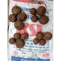 ราคา บัวบกโขดป่า แบบหัว คละไซส์ 4-6หัว คละไซส์5-10cm ราคากองล่ะ100บาท แม่ค้าเลือกให้ค่ะ (3943188580)