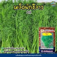 ราคา เมล็ดผักชีลาว Dill เมล็ดพันธุ์ผักชีลาว เมล็ดพันธุ์ผัก เมล็ดผักสวนครัว ตราภูเขาทอง (6458885177)