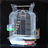 ราคา กรงนกแก้ว ซัน เกรย์และนกขนาดกลาง (12110532053)