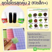 ราคา ชุดปลูกผัก สลัด ไฮโดรโปนิกส์ DIY สุดคุ้ม 2 (Kit เล็ก Plus) (6641125501)