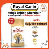 ราคา {10kg} Royal Canin Adult British Shothair อาหารเม็ดสำหรับ แมวโตพันธุ์บริติช ช็อตแฮร์ (22355042048)