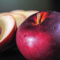 ราคา 20 เมล็ด แอปเปิ้ล บอนไซ ปลูกง่าย ปลูกในกระถางได้ Apple Seeds สายพันธุ์ Arkansas Black Apple (29592518511)